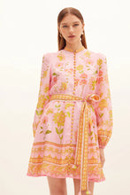 Load image into Gallery viewer, Ruellia Button Mini Dress