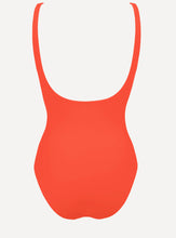 Load image into Gallery viewer, Asia Duni Rooibos