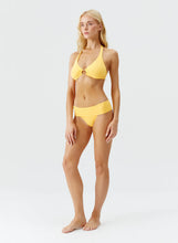 Load image into Gallery viewer, Brussels Sunflower Halter-Neck Bikini

